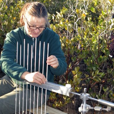 Professor Catherine Lovelock studies 'blue carbon' in soils and coastal wetlands